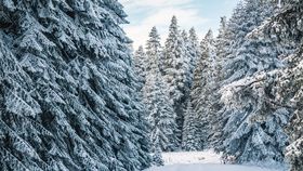 Prognoza meteo în perioada 15-31 ianuarie 2024: Cum va fi vremea în țara noastră în a doua jumătate a lunii?